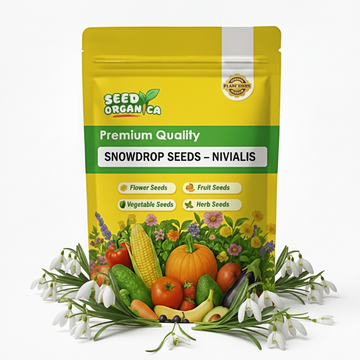 Snowdrop Seeds – Nivalis