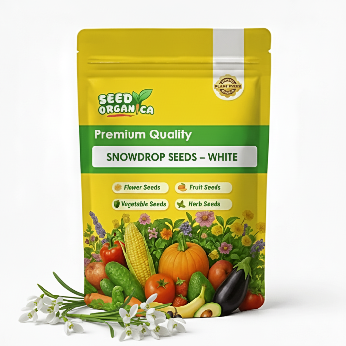 Snowdrop Seeds – White