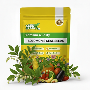 Solomon’s Seal Seeds