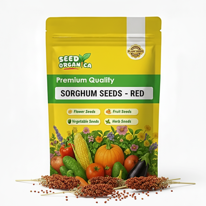 Sorghum Seeds – Red