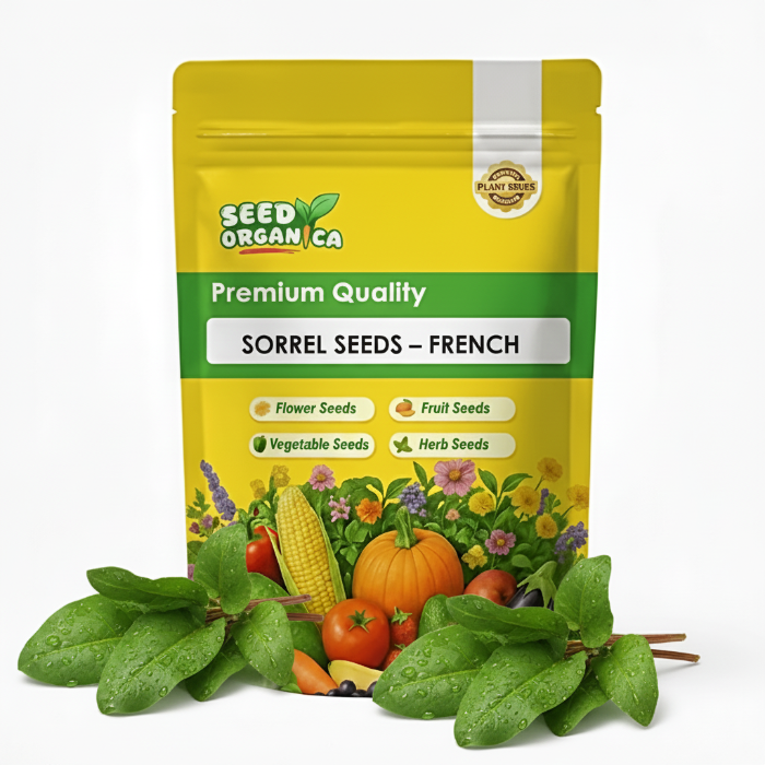 Sorrel Seeds – French