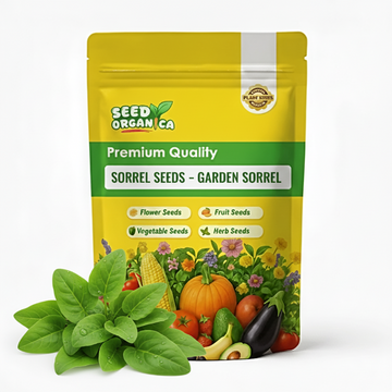Sorrel Seeds – Garden Sorrel