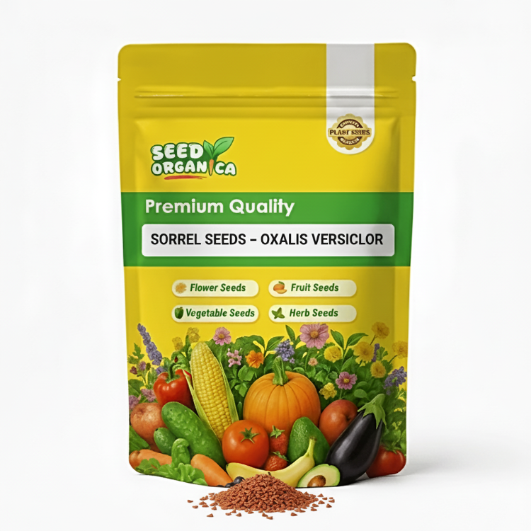 Sorrel Seeds – Oxalis Versicolor
