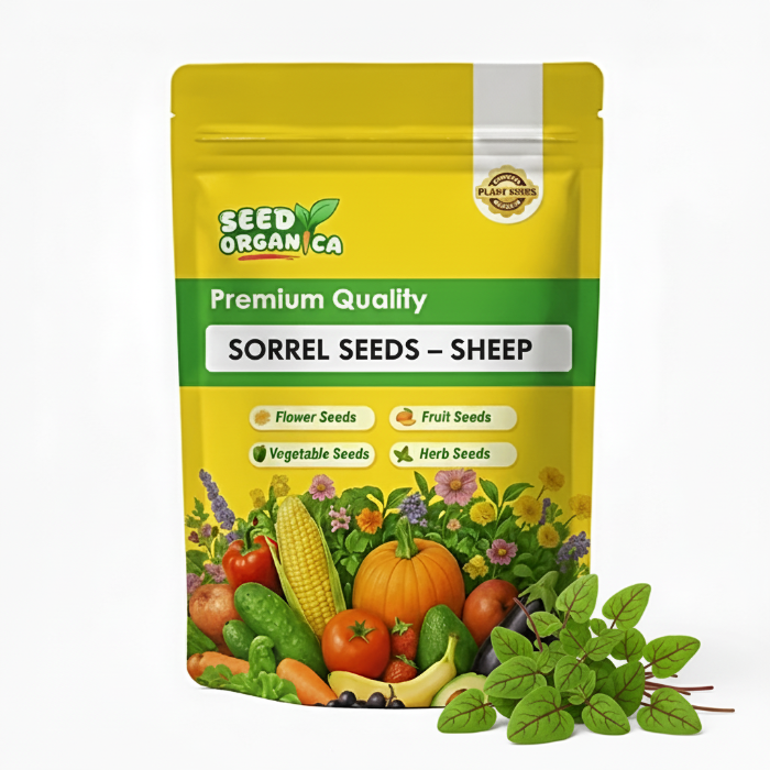 Sorrel Seeds – Sheep