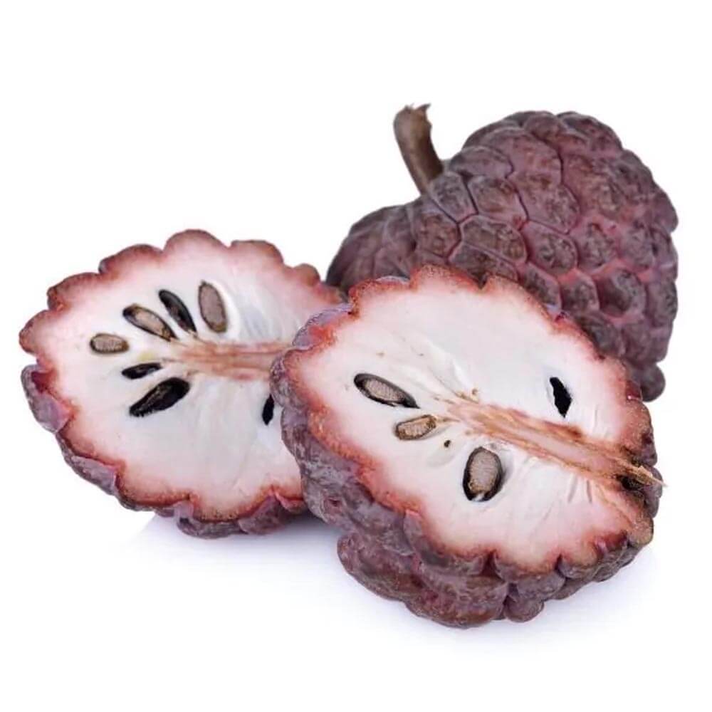 Soursop Seeds - Pale Pink