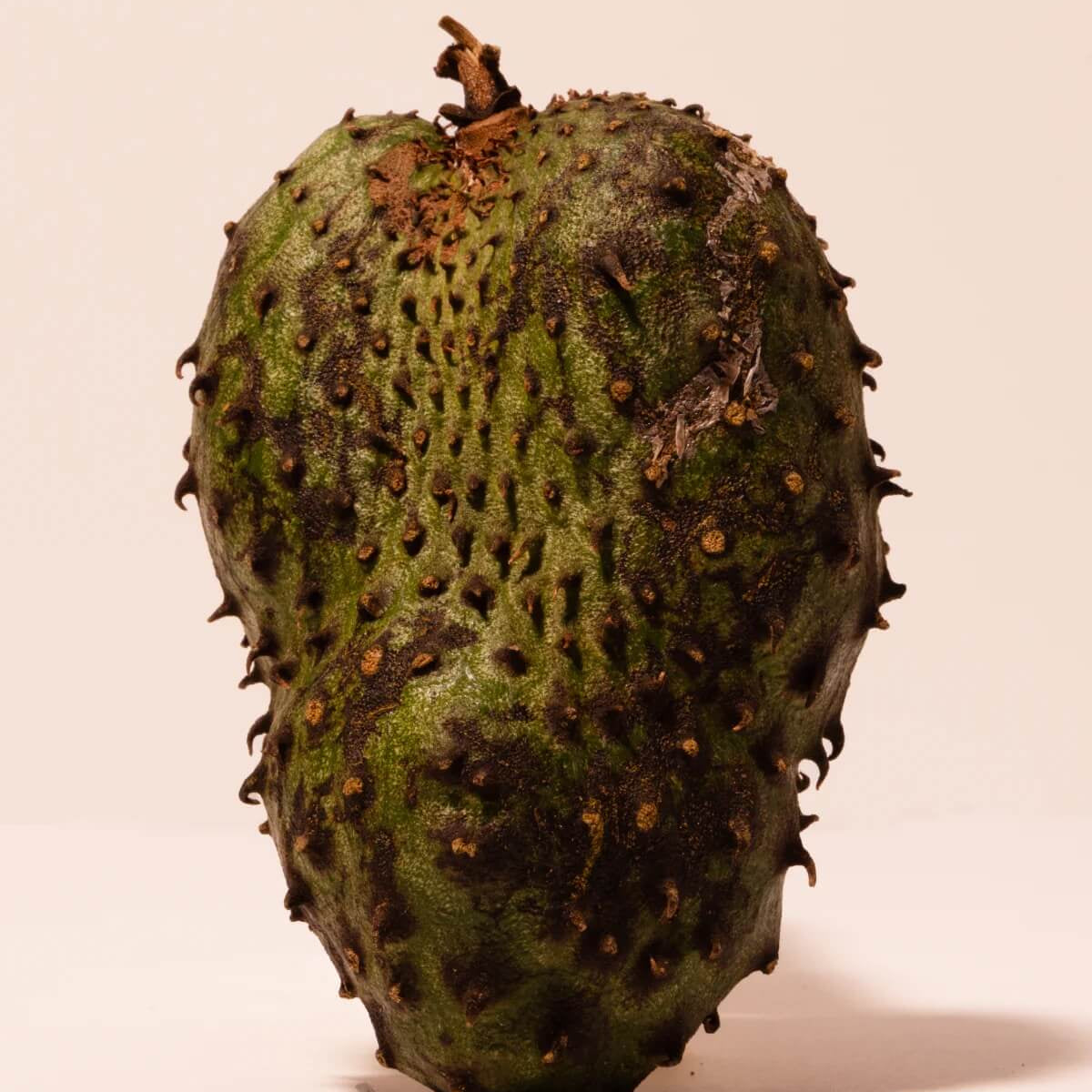 Soursop Seeds - Brown