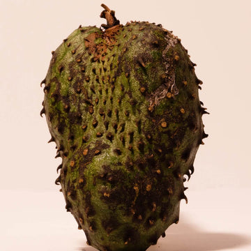 Soursop Seeds - Brown
