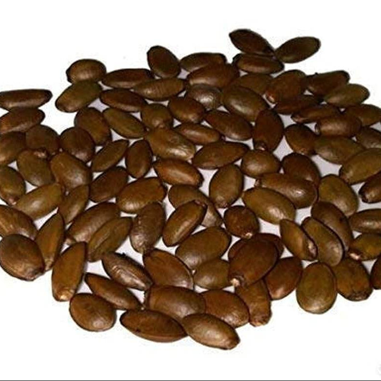 Soursop Seeds - Brown