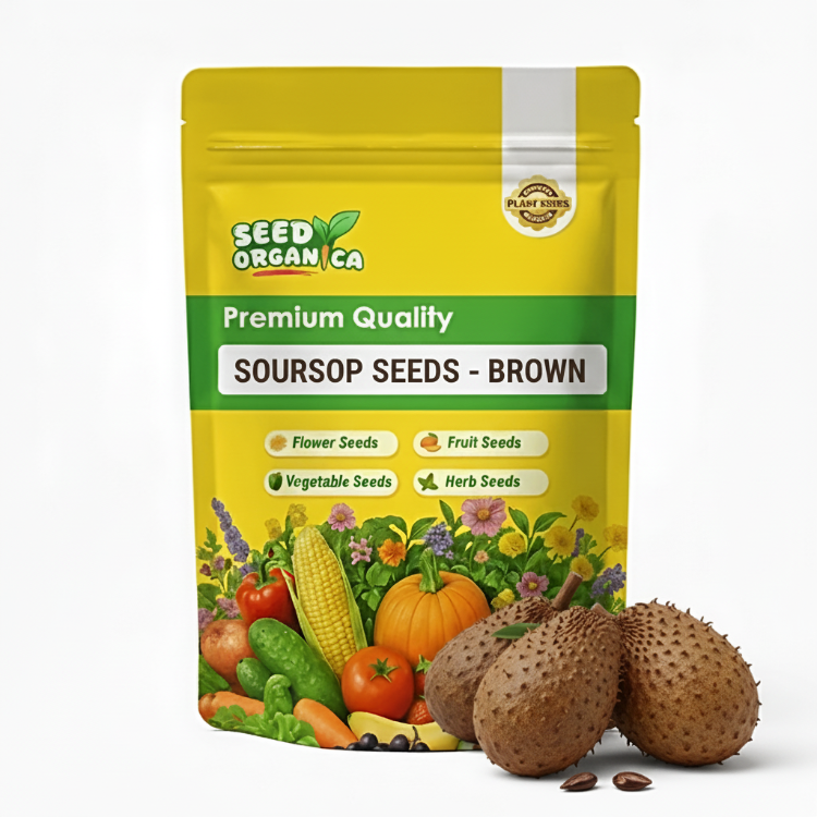 Soursop Seeds - Brown