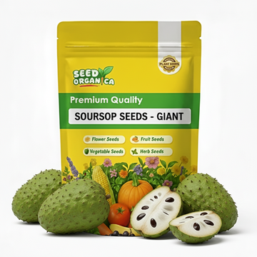 Soursop Seeds - Giant