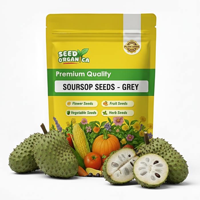 Soursop Seeds - Grey
