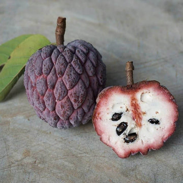 Soursop Seeds - Pale Pink