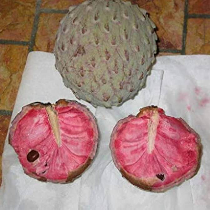 Soursop Seeds - Pink