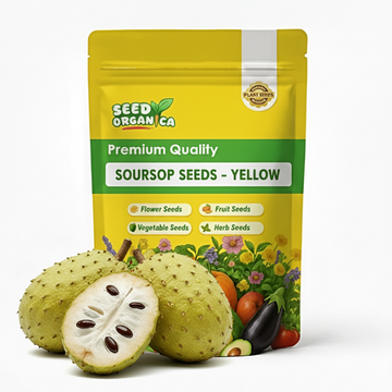 Soursop Seeds - Yellow