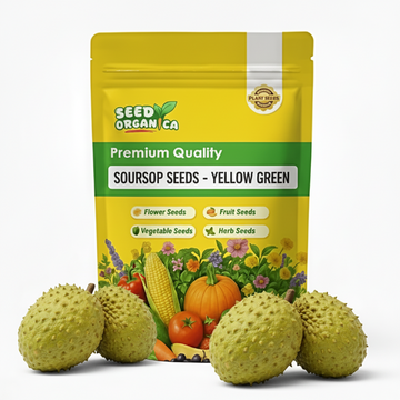 Soursop Seeds - Yellow Green