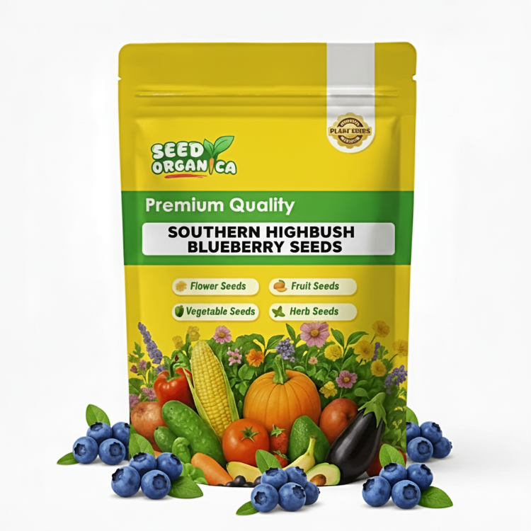 Southern Highbush Blueberry Seeds