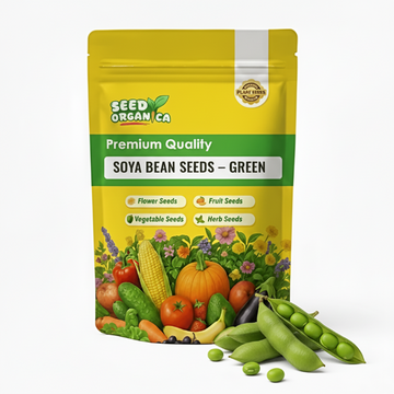 Soya Bean Seeds – Green