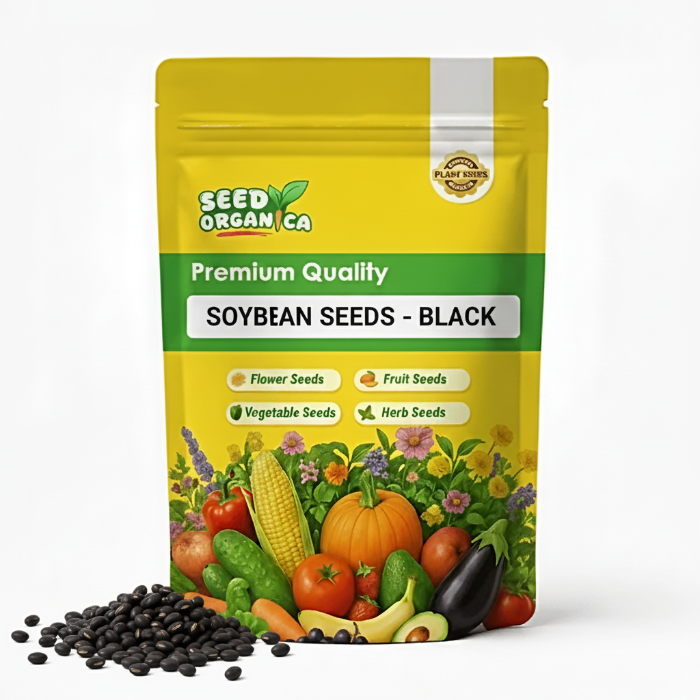 Soybean Seeds - Black