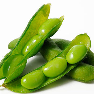 Soybean Seeds - Black