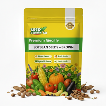 Soybean Seeds – Brown