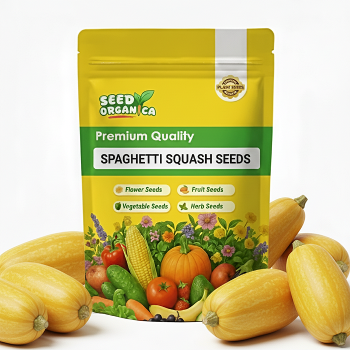 Soybean Seeds – Protein-Rich