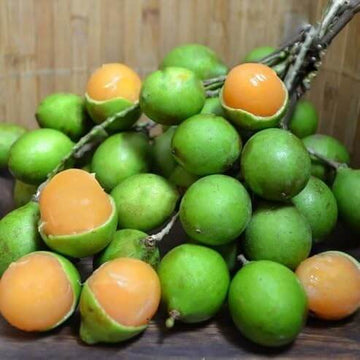 Spanish Lime Seeds – Lemon Sweet