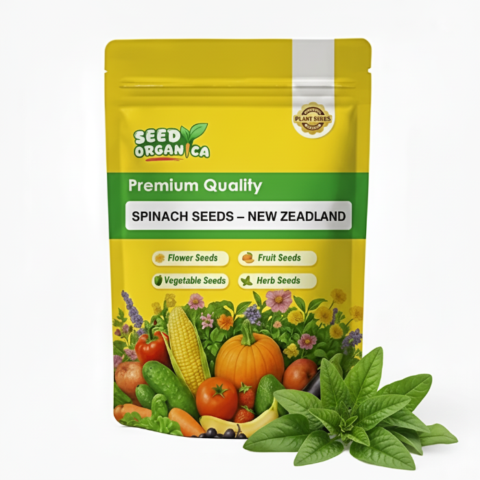 Spinach Seeds – New Zealand