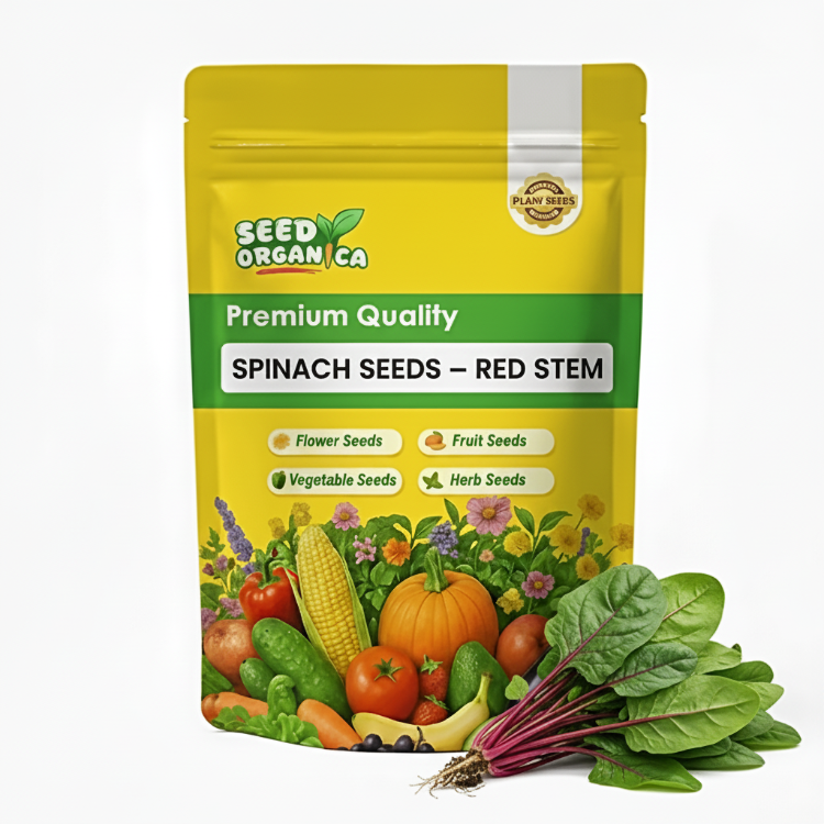 Spinach Seeds – Red Stem
