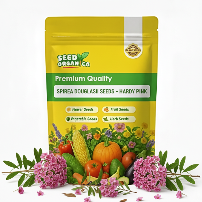 Spiraea Douglasii Seeds – Hardy Pink