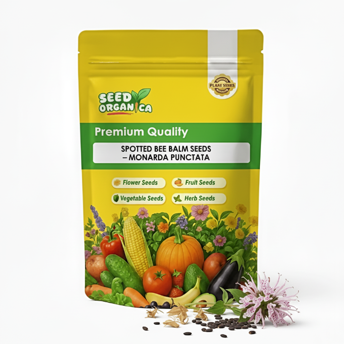 Spotted Bee Balm Seeds – Monarda Punctata