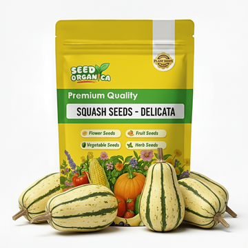 Squash Seeds - Delicata