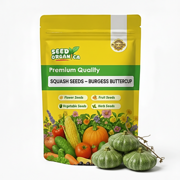 Squash Seeds – Burgess Buttercup