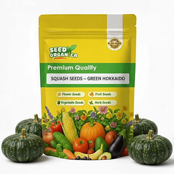 Squash Seeds – Green Hokkaido