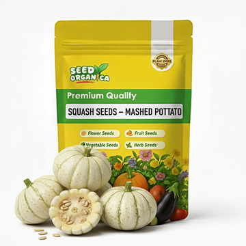 Squash Seeds – Mashed Potato