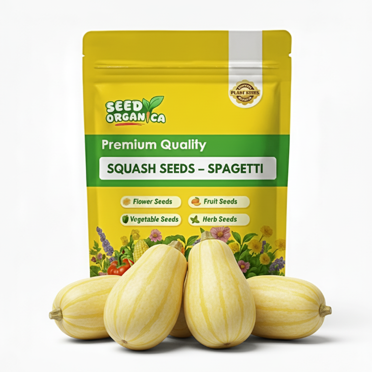 Squash Seeds – Spaghetti