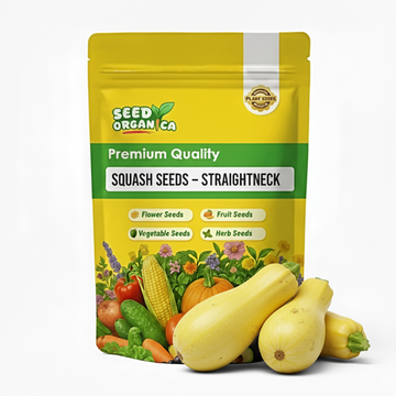 Squash Seeds – Straightneck