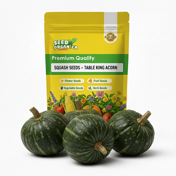 Squash Seeds – Table King Acorn