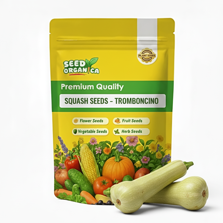 Squash Seeds – Tromboncino