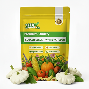 Squash Seeds – White Patisson