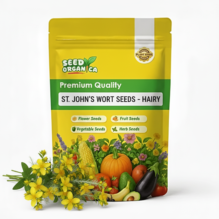 St. John’s Wort Seeds – Hairy