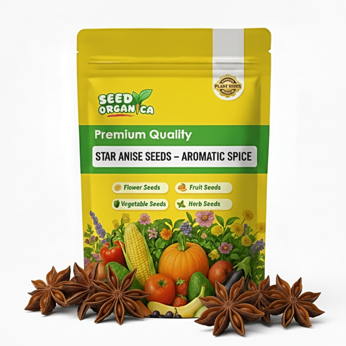 Star Anise Seeds – Aromatic Spice