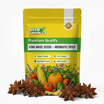 Star Anise Seeds – Aromatic Spice