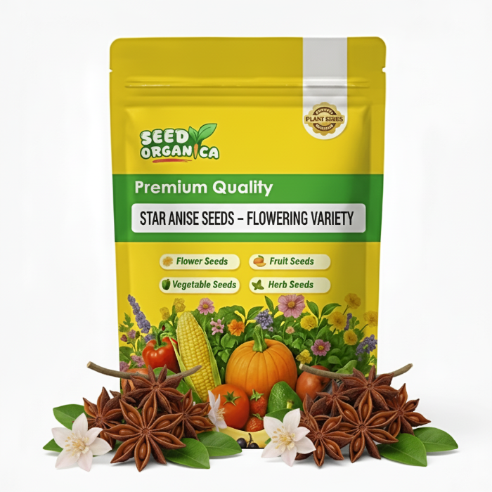 Star Anise Seeds – Flowering Variety