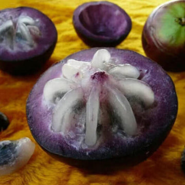 Star Apple Seeds – Purple