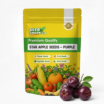 Star Apple Seeds – Purple
