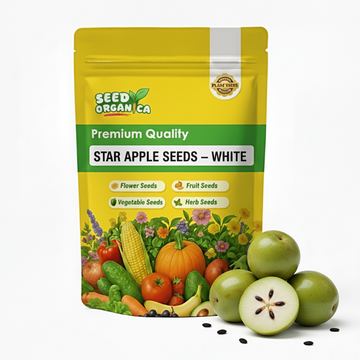 Star Apple Seeds – White