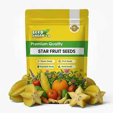 Star Fruit Seeds