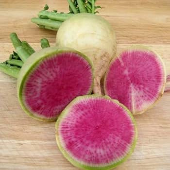 Starburst Radish Seeds