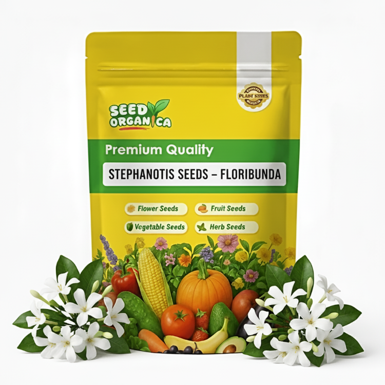 Stephanotis Seeds – Floribunda