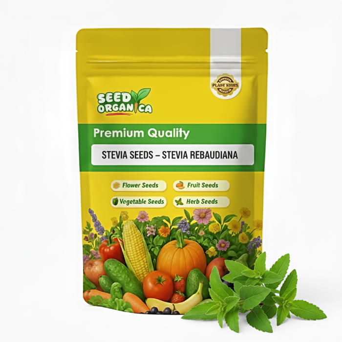 Stevia Seeds – Stevia rebaudiana